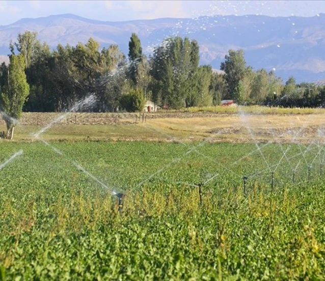 Tarımsal girdi fiyat endeksi sakin patikaya girdi Tarımsal girdi fiyat endeksi sakin patikaya girdi