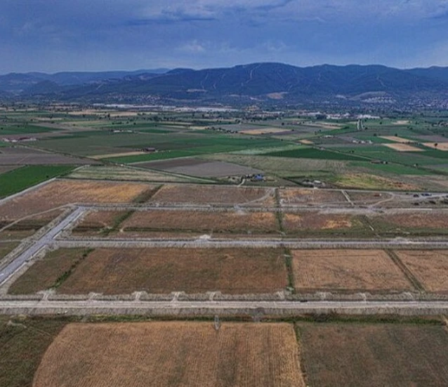 Türkiye’de bir ilk: Tıbbi ve aromatik bitkiler OSB’sinde üretim başlıyor