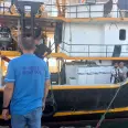 Hamsi avında kota dönemi! Denetimler sürüyor Hamsi avında kota dönemi! Denetimler sürüyor