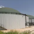 Hayvansal atıklarda büyük potansiyel: 10 milyar kilovatsaatlik elektrik üretilebilir