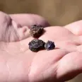 ABD'den kritik mineral adımı: Ukrayna ile ortak platform kurdu
