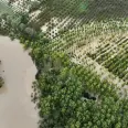 Meteoroloji verileri açıkladı: Türkiye'de bir ayda 66 meteorolojik afet yaşandı Meteoroloji verileri açıkladı: Türkiye'de bir ayda 66 meteorolojik afet yaşandı