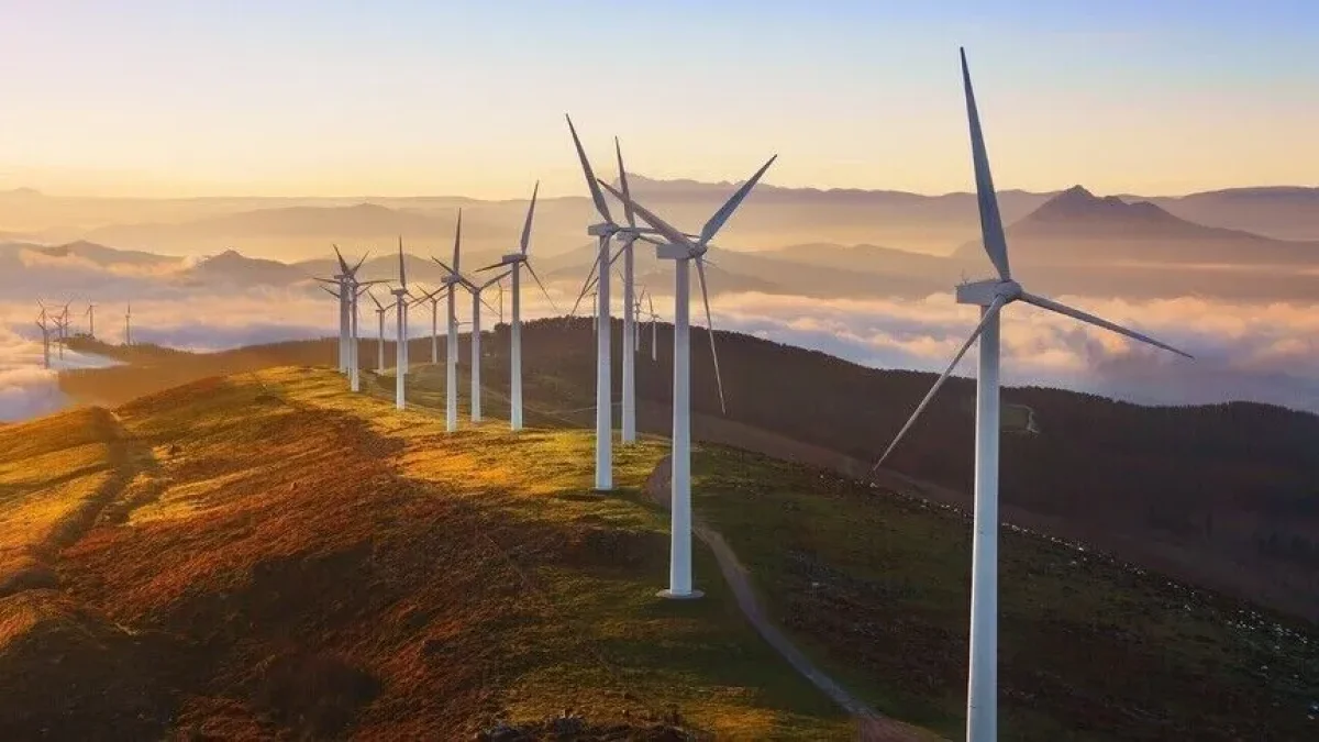 Avrupa'dan yenilenebilir enerjide verimlilik adımı: Aynı sahadan üç kat daha fazla elektrik üretimi Avrupa'dan yenilenebilir enerjide verimlilik adımı: Aynı sahadan üç kat daha fazla elektrik üretimi