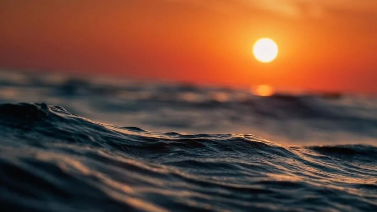Okyanus sıcaklıklarında rekor kırıldı: El Nino etkisinin şiddetlenmesi bekleniyor Okyanus sıcaklıklarında rekor kırıldı: El Nino etkisinin şiddetlenmesi bekleniyor