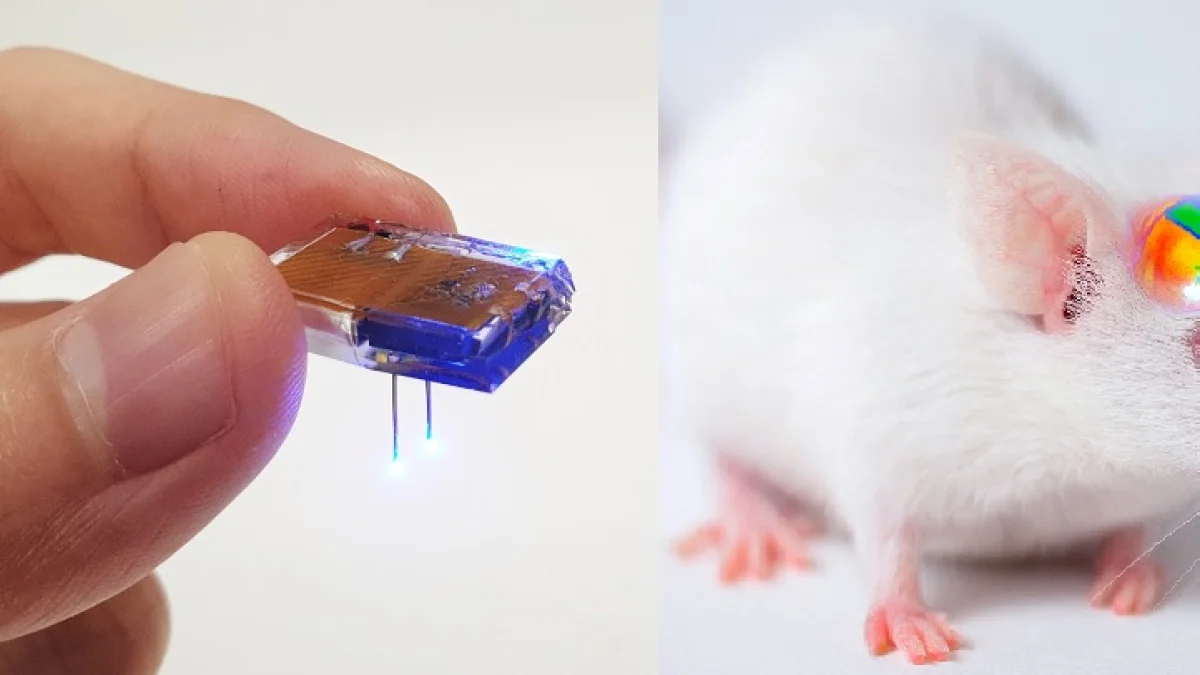 Kablosuz beyin implantı: ABD’den uzaktan kontrol edildi Kablosuz beyin implantı: ABD’den uzaktan kontrol edildi