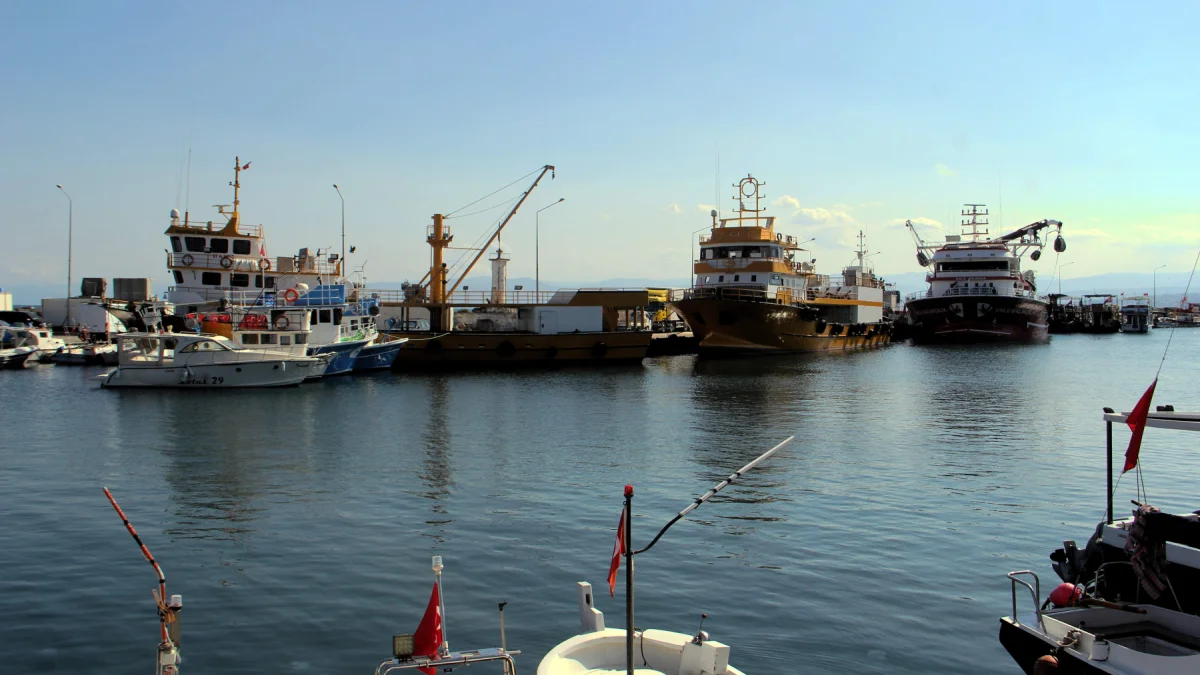 Palamut ağları doldurdu gözler hamsi ve torikte Palamut ağları doldurdu gözler hamsi ve torikte