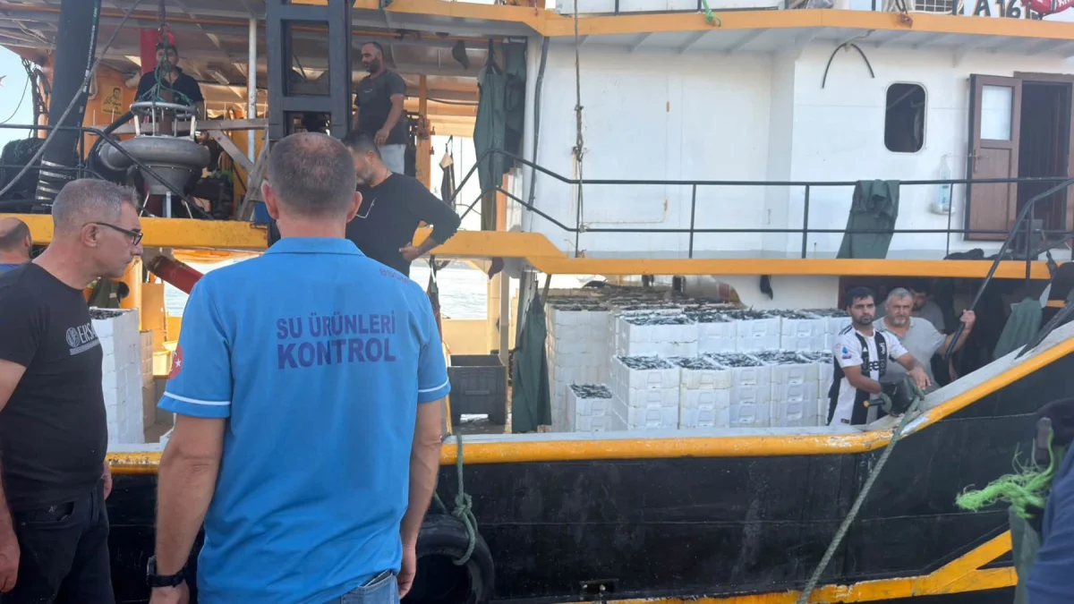 Hamsi avında kota dönemi! Denetimler sürüyor Hamsi avında kota dönemi! Denetimler sürüyor