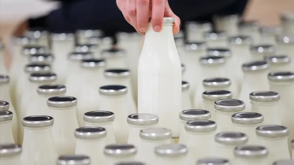 İçme sütü standartları yenilendi: Aroma ve şeker kullanımında yeni kurallar İçme sütü standartları yenilendi: Aroma ve şeker kullanımında yeni kurallar