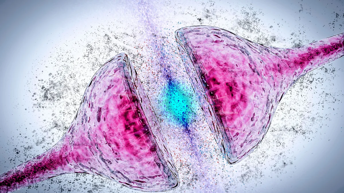 Alzheimer'da hafızayı geri getiren protein keşfi: Nav1.1 ile beyin ritimleri düzeldi Alzheimer'da hafızayı geri getiren protein keşfi: Nav1.1 ile beyin ritimleri düzeldi