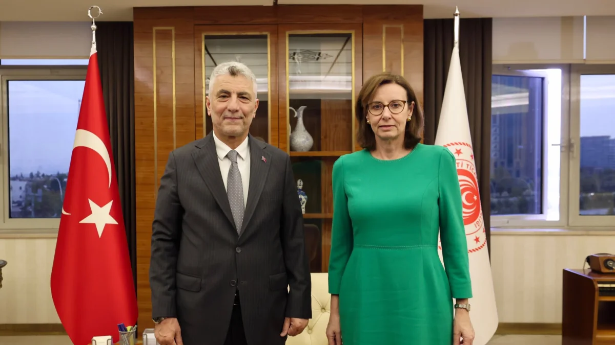 Bakan Bolat, İngiltere Büyükelçisi Anderson'ı kabul etti Bakan Bolat, İngiltere Büyükelçisi Anderson'ı kabul etti