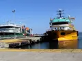 Açık denizden 1,5 tonla döndüler! Marmara'da kefal bereketi