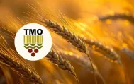 Cumhuriyet tarihi rekoru: TMO 12,3 milyon ton hububat alımı gerçekleştirdi Cumhuriyet tarihi rekoru: TMO 12,3 milyon ton hububat alımı gerçekleştirdi