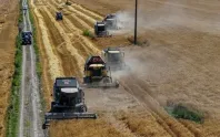 TİGEM yılda 130-140 bin ton sertifikalı tohum satıyor