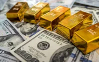 Merkez Bankası verileri açıkladı: Toplam rezervler 160,5 milyar dolar oldu