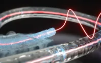 Dondurulmuş sıvı çekirdekli fiberle opto-akustik bellek geliştirildi Dondurulmuş sıvı çekirdekli fiberle opto-akustik bellek geliştirildi