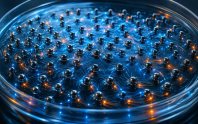 Elektronik çiplere alternatif sıvılı bilgisayar mimarisi geliştirildi