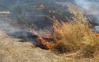 Uzmanlardan çiftçilere anız uyarısı Uzmanlardan çiftçilere anız uyarısı