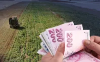 Üreticilere 2 milyar 768 milyon lira ödendi Üreticilere 2 milyar 768 milyon lira ödendi