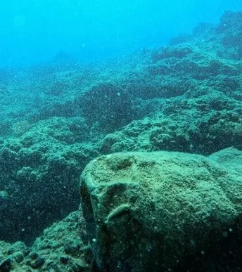 Türkiye’nin en büyük plastik çalıştayı 31 Ağustos’ta başlayacak: Kirliliğe karşı yeni adım Türkiye’nin en büyük plastik çalıştayı 31 Ağustos’ta başlayacak: Kirliliğe karşı yeni adım