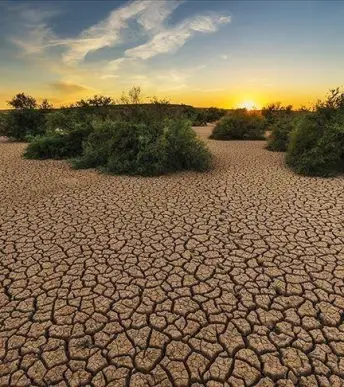 Citigroup'tan El Nino analizi: Küresel ekonomi için risk