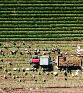 Tarımda büyük destek paketi: Aile işletmelerine öncelik verilecek Tarımda büyük destek paketi: Aile işletmelerine öncelik verilecek