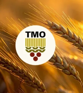 Cumhuriyet tarihi rekoru: TMO 12,3 milyon ton hububat alımı gerçekleştirdi