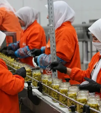 Türkiye'nin turşu ihracatı 301 milyon doları aştı: En çok hangi ülke satın aldı?