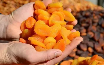 Türkiye'den 141 ülkeye kuru meyve ihracatı!