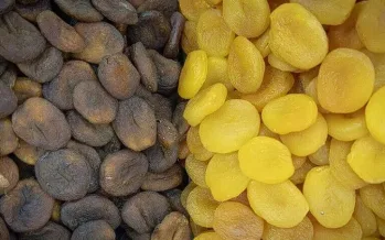 Malatya kayısısında kilogram başına ihracat değeri 9 doları geçti