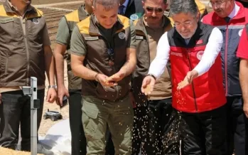 Bakan Yumaklı açıkladı: TMO bugüne kadar 10 milyon tona yakın ürün aldı Bakan Yumaklı açıkladı: TMO bugüne kadar 10 milyon tona yakın ürün aldı