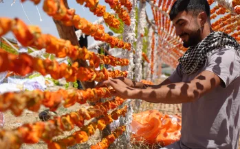 Kurutmalık sezonu başladı! Hasat sonrası kışa hazırlık sürüyor Kurutmalık sezonu başladı! Hasat sonrası kışa hazırlık sürüyor