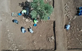 Yoğunburç kazısıyla Türkiye'de Neolitik Çağ'ın izi sürülüyor