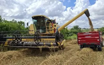 TMO 11,5 milyon ton ürün aldı, ödeme tutarı açıklandı