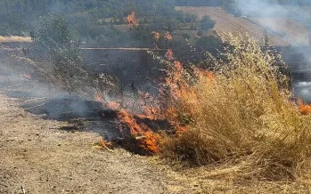 Uzmanlardan çiftçilere anız uyarısı
