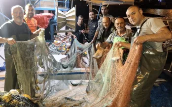 Bol palamut sonrası balıkçılardan yeni talep: 'Bir hafta ava çıkılmasın' Bol palamut sonrası balıkçılardan yeni talep: 'Bir hafta ava çıkılmasın'