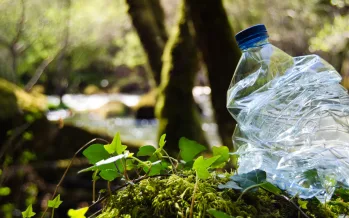 Plastik atıklar gübreye dönüştürüldü Plastik atıklar gübreye dönüştürüldü