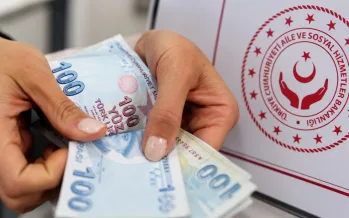 Vatandaşlık maaşı ne kadar? Başvuru, sorgulama ve GETAD şartları