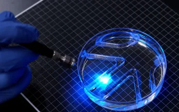 MIT kağıt inceliğinde yüzen canlı robot geliştirdi MIT kağıt inceliğinde yüzen canlı robot geliştirdi