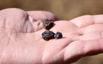 ABD'den kritik mineral adımı: Ukrayna ile ortak platform kurdu