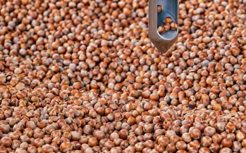 Doğu Karadeniz'den 9 ayda 1,3 milyar dolarlık ihracat