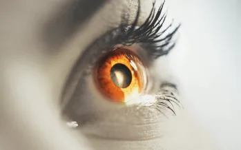 Gen terapisi retina sinir bağlantılarını onardı