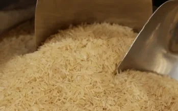 Ticaret Bakanlığı tebliği yürürlükte: Pirinç ve çeltik ithalatına gözetim şartı