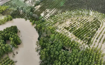 Meteoroloji verileri açıkladı: Türkiye'de bir ayda 66 meteorolojik afet yaşandı