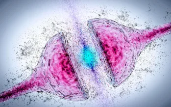 Alzheimer'da hafızayı geri getiren protein keşfi: Nav1.1 ile beyin ritimleri düzeldi