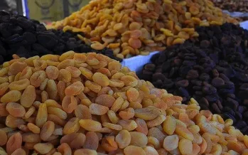 Kuru kayısı ve Antep fıstığı ihracatta zirvede! En çok satış yapılan ülke Almanya