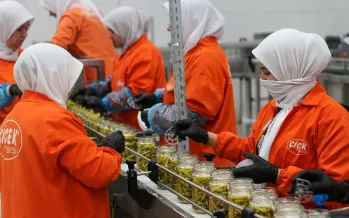 Türkiye'nin turşu ihracatı 301 milyon doları aştı: En çok hangi ülke satın aldı?