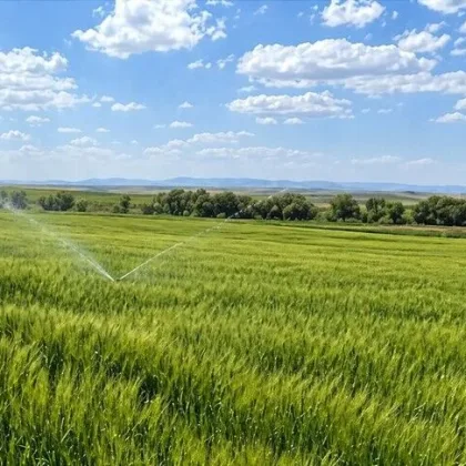 Tarımda yapay zeka devrimi: Çiftçilik artık dijital mühendislik ile güçleniyor