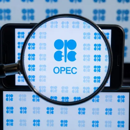 OPEC'ten 2050 senaryosu: Yenilenebilir hızla büyüse de petrol lider kalacak