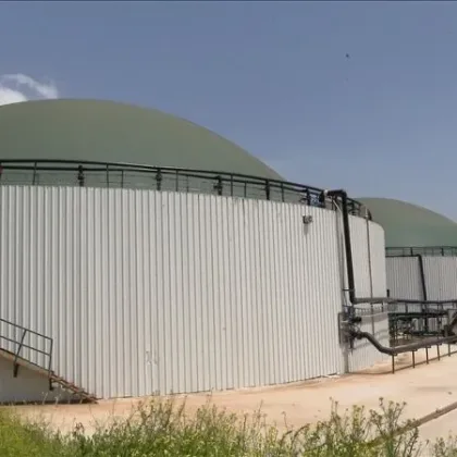 Hayvansal atıklarda büyük potansiyel: 10 milyar kilovatsaatlik elektrik üretilebilir Hayvansal atıklarda büyük potansiyel: 10 milyar kilovatsaatlik elektrik üretilebilir