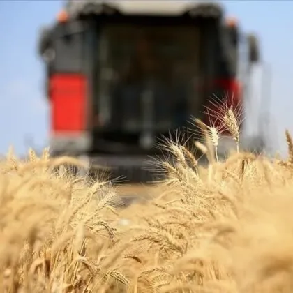 Küresel gıda fiyatlarında 21 ayın zirvesi: Arz endişeleri ile yükseliş sürüyor